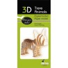 Maquette 3D en papier – Bulldog français