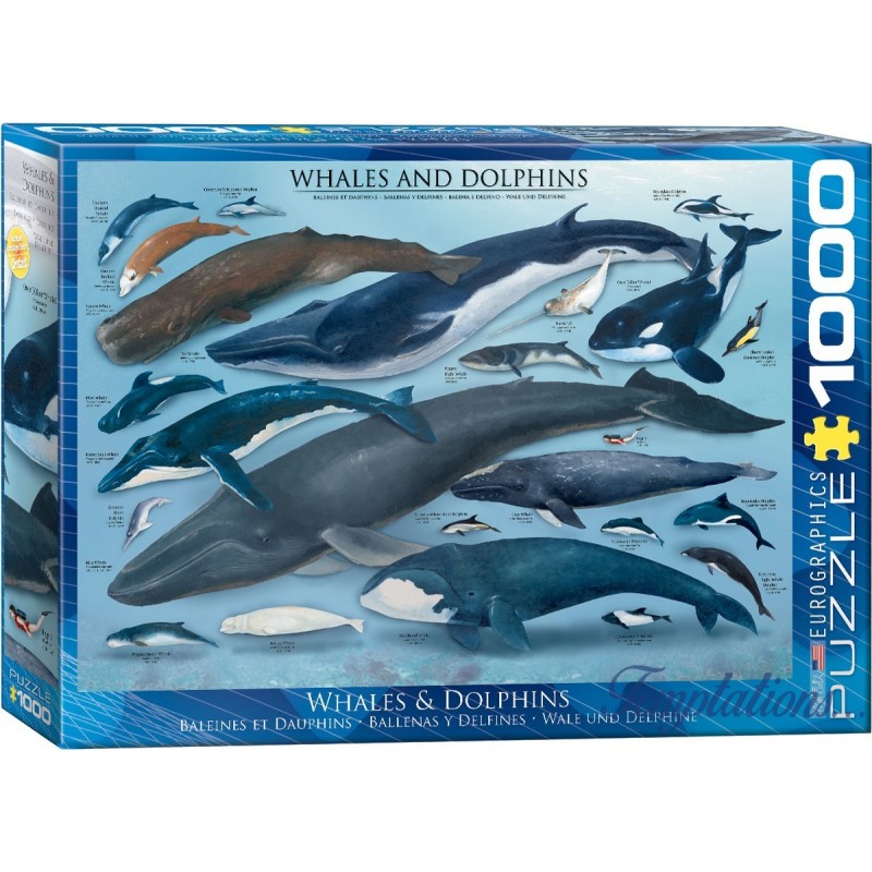 Puzzle 1000 pièces- Baleines & Dauphins– Eurographics