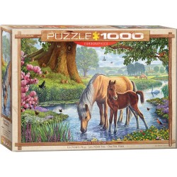 Puzzle 1000 pièces-Les poneys fell– Eurographics