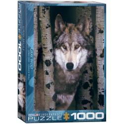 Puzzle 1000 pièces-  Loup...