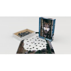 Puzzle 1000 pièces-  Loup gris Eurographics