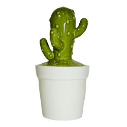 Pot en céramique en forme de cactus.