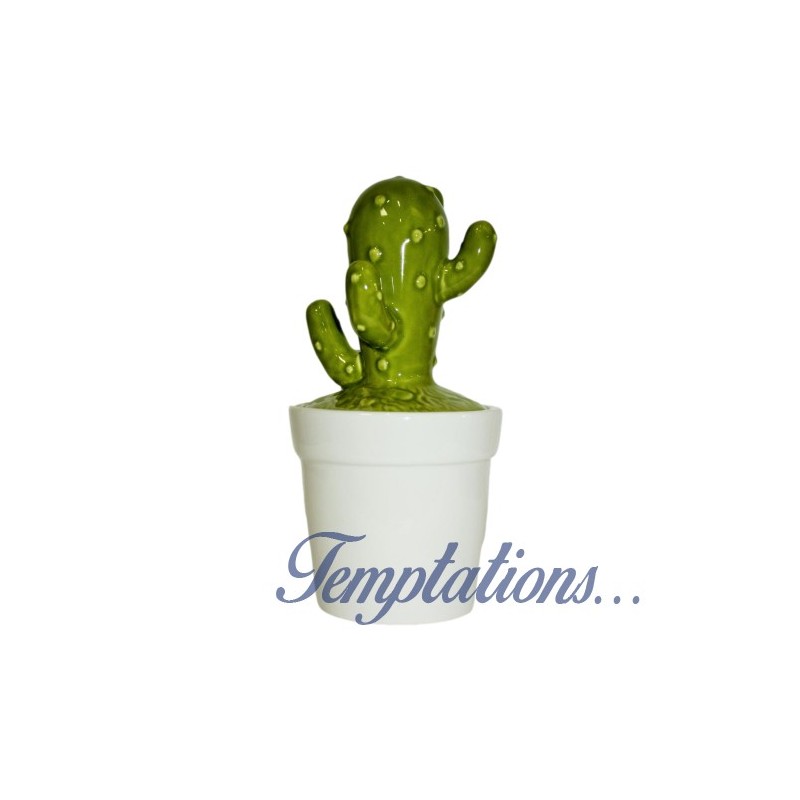 Pot en céramique en forme de cactus.