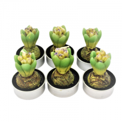 6 mini bougies jacinthes – Dekoratief