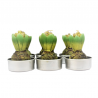 6 mini bougies jacinthes – Dekoratief