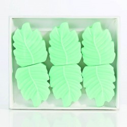 6 cires SpringTime