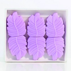 6 cires Passion Flower & Mango