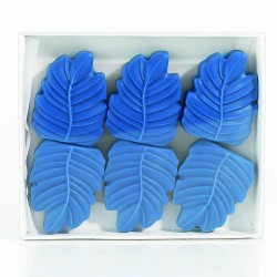 6 cires Ocean Mist