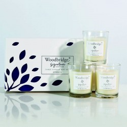 Coffret 3 bougies Mûres Sauvages- Woodbridge Collection Signature