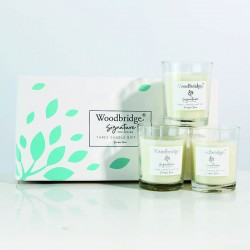Coffret 3 bougies Juniper Rain