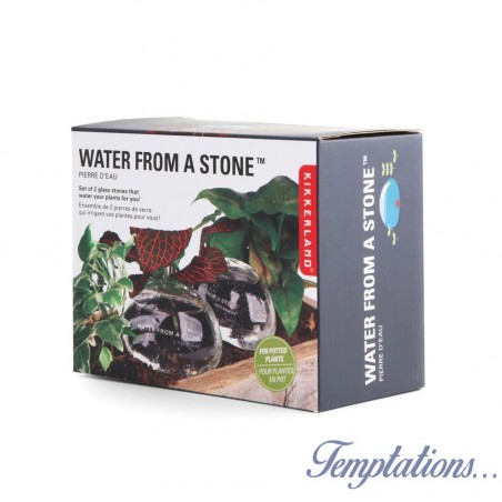 Water from a Stone - Kit d'arrosage pour plantes
