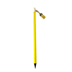 Crayon avec charme ananas