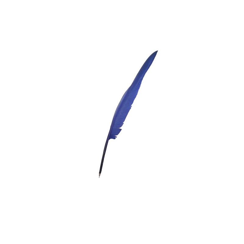 Stylo Double Vintage - Bille + Plume - Référence 146 - Occasion Collection, Fonctionnement Non Garanti