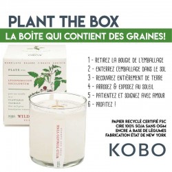Bougie Kobo Plant The Box - Heath Lavender