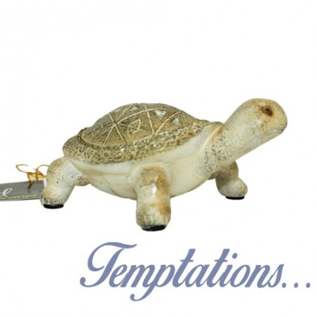 La tortue decoration - Dekoratief