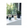 Photophore cactus en verre avec bougie PM