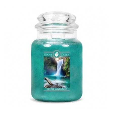 Grande Jarre Jungle Adventure / Aventure dans la jungle par Goose Creek