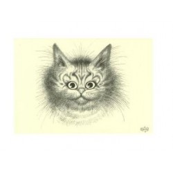 Carte postale "tête de chat " Albert Dubout