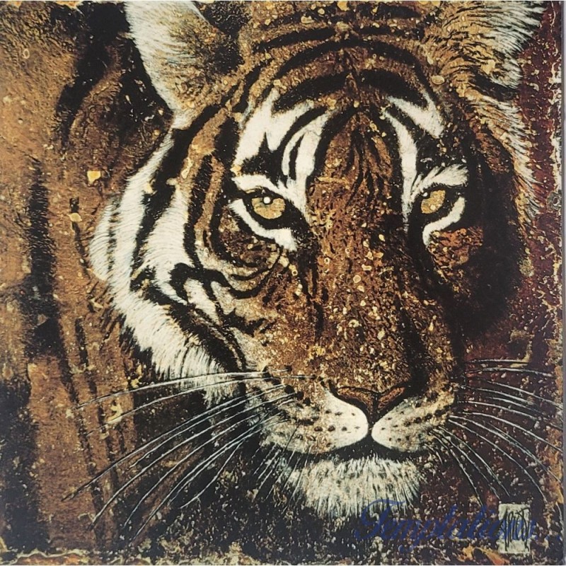 Carte double Portrait de tigre Arietti Fabienne