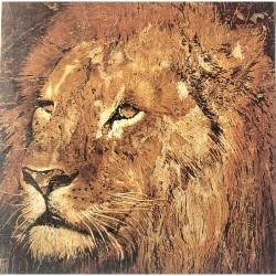 Carte double Portrait de lion Arietti Fabienne