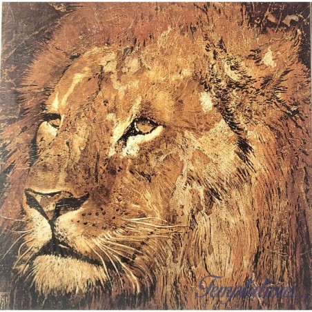 Carte double Portrait de lion Arietti Fabienne
