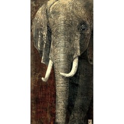 Carte format Portrait Éléphant du Kenya  Arietti Fabienne