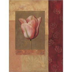 Image "Tulipe Rosée"...