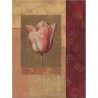 Image "Tulipe Rosée" Fabrice De Villeneuve