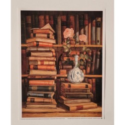 Image "La rose dans la Bibliothèque " Fabrice De Villeneuve