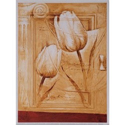 Image "Promising  Tulipes"