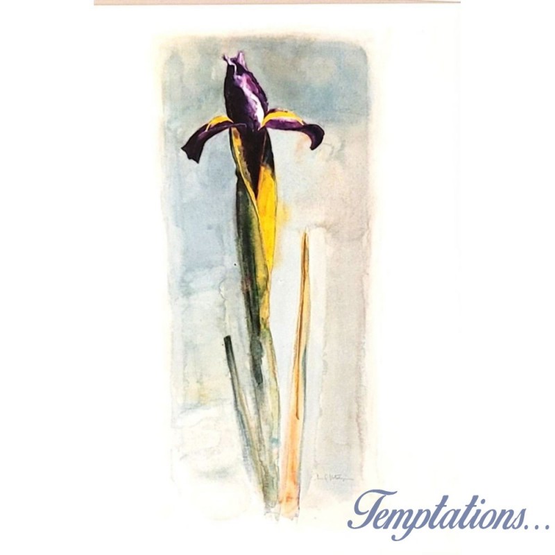 Carte double "Purple Iris" carol Matyia