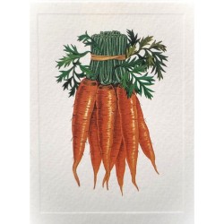 Mini Carte Rossi "carottes"