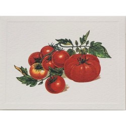 Mini Carte Rossi "Tomates"