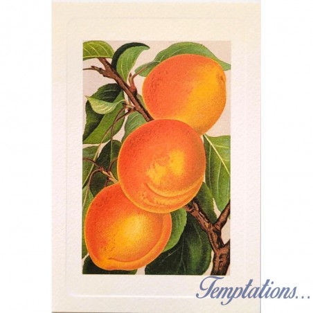 Carte Rossi "Abricots"