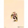 Mini Carte Rossi "Callicarpa Purpurea"