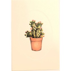 Carte Rossi "Cactus figuier de Barbarie"