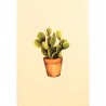 Carte Rossi "Cactus raquettes"