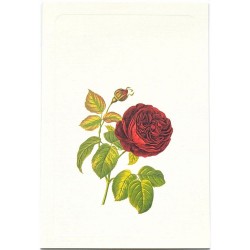 Carte Rossi "Rose Rouge"