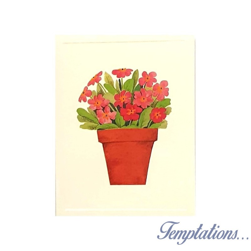 Mini Carte Rossi "Pot de fleurs roses"