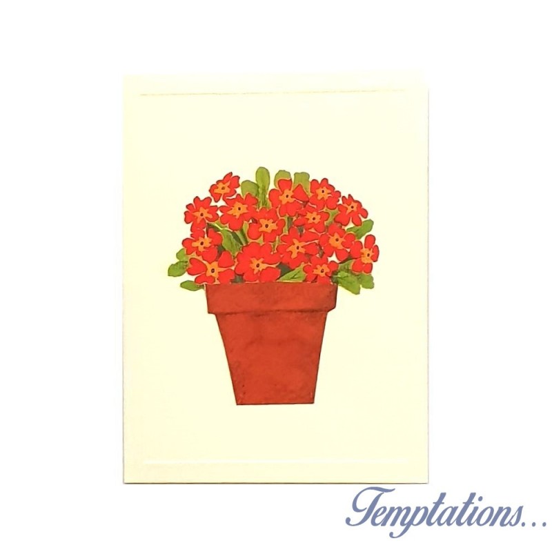 Mini Carte Rossi "Pot de fleurs rouges"