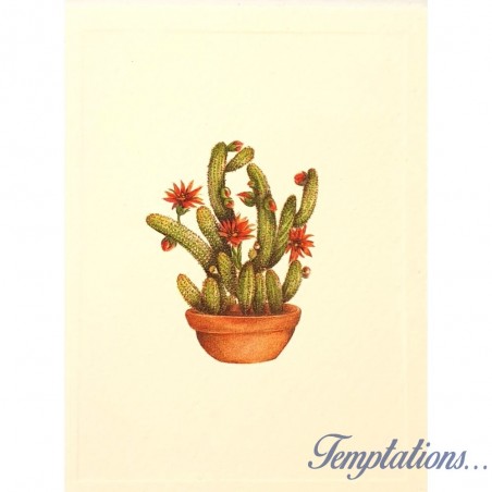 Mini Carte Rossi "Cactus à couronnes"