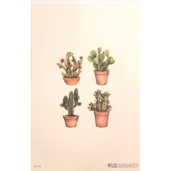 Mini Carte Rossi "Cactus à couronnes"