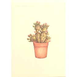 Mini Carte Rossi "Cactus Figuier de Barbarie"