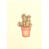 Mini Carte Rossi "Cactus Figuier de Barbarie"