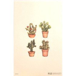 Mini Carte Rossi "Cactus de Sagaro"