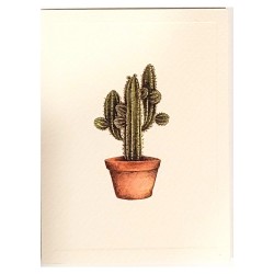 Mini Carte Rossi "Cactus de...