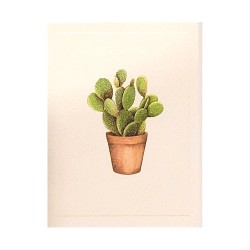 Mini Carte Rossi "Cactus...