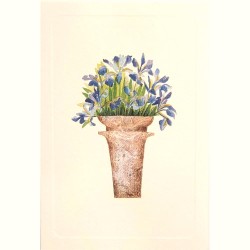 Mini Carte Rossi "Le jardin Iris"
