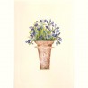 Mini Carte Rossi "Le jardin Iris"