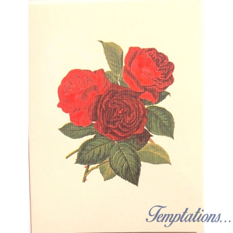 Mini Carte Rossi "Roses pourpres et rouges"